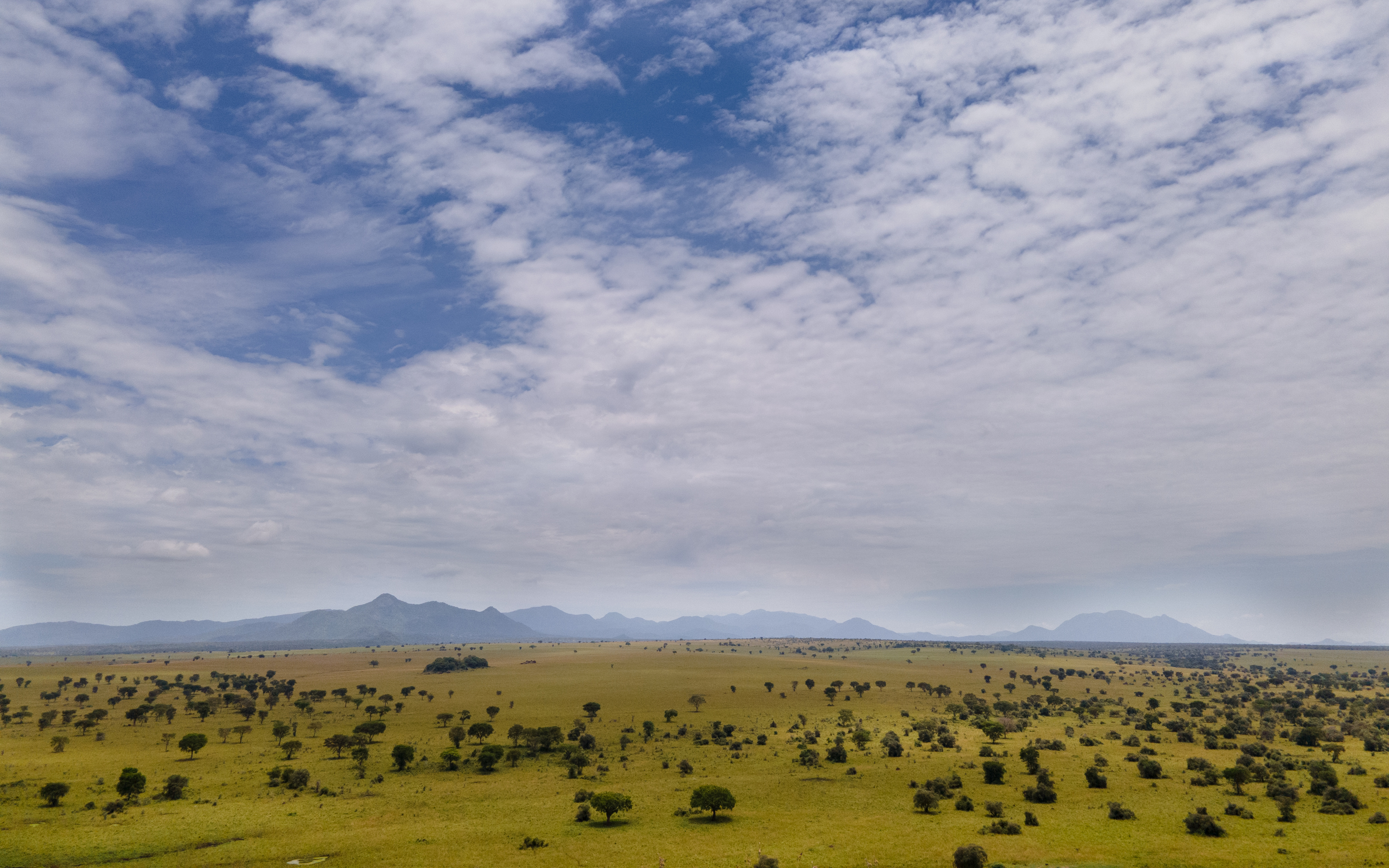 Transfer to Masai Mara National Reserve.