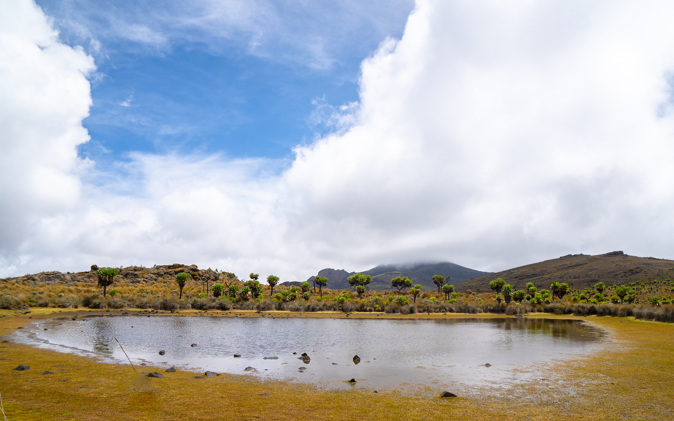 Transfer to Mount Elgon National Park.