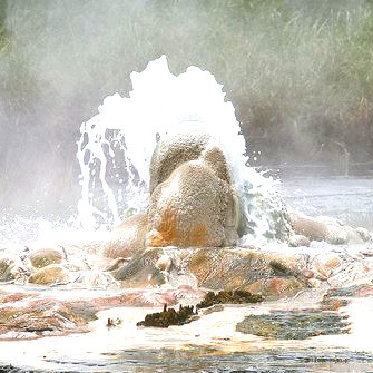 Visit Sempaya Hot Springs & Batwa Experience.