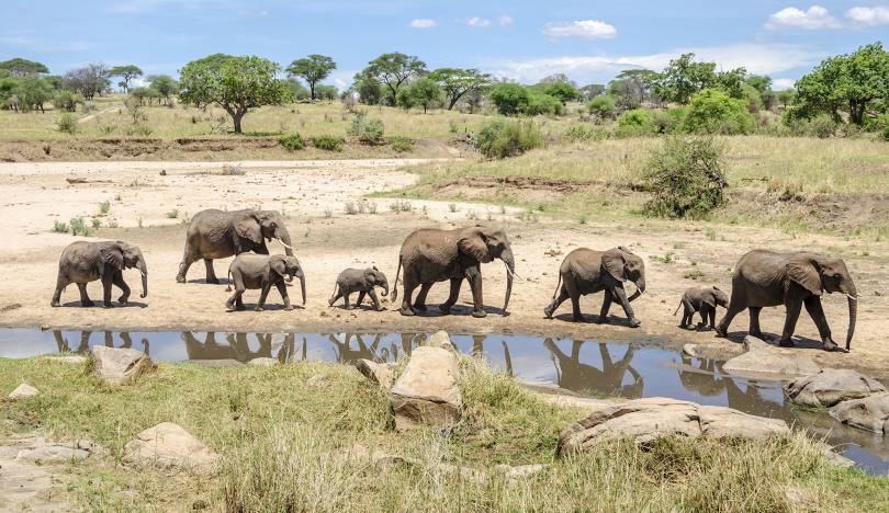 Lake Manyara.