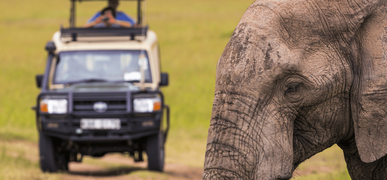 Photography in the Wild: Capturing Uganda’s Natural Beauty Through the Lens