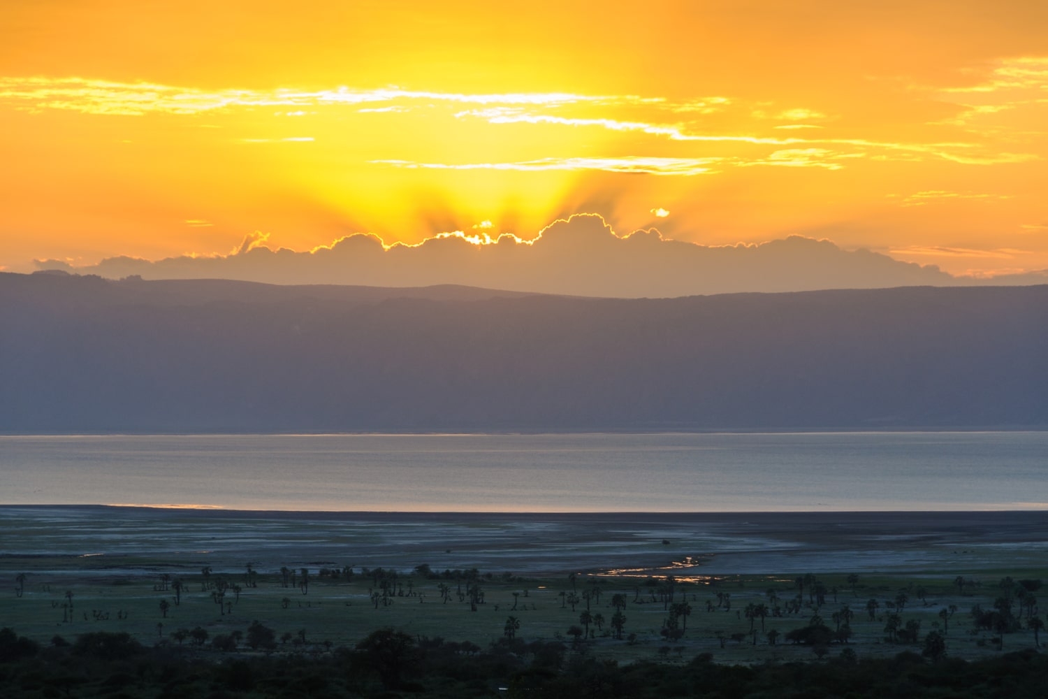 GAME DRIVE AND BOAT CRUISE