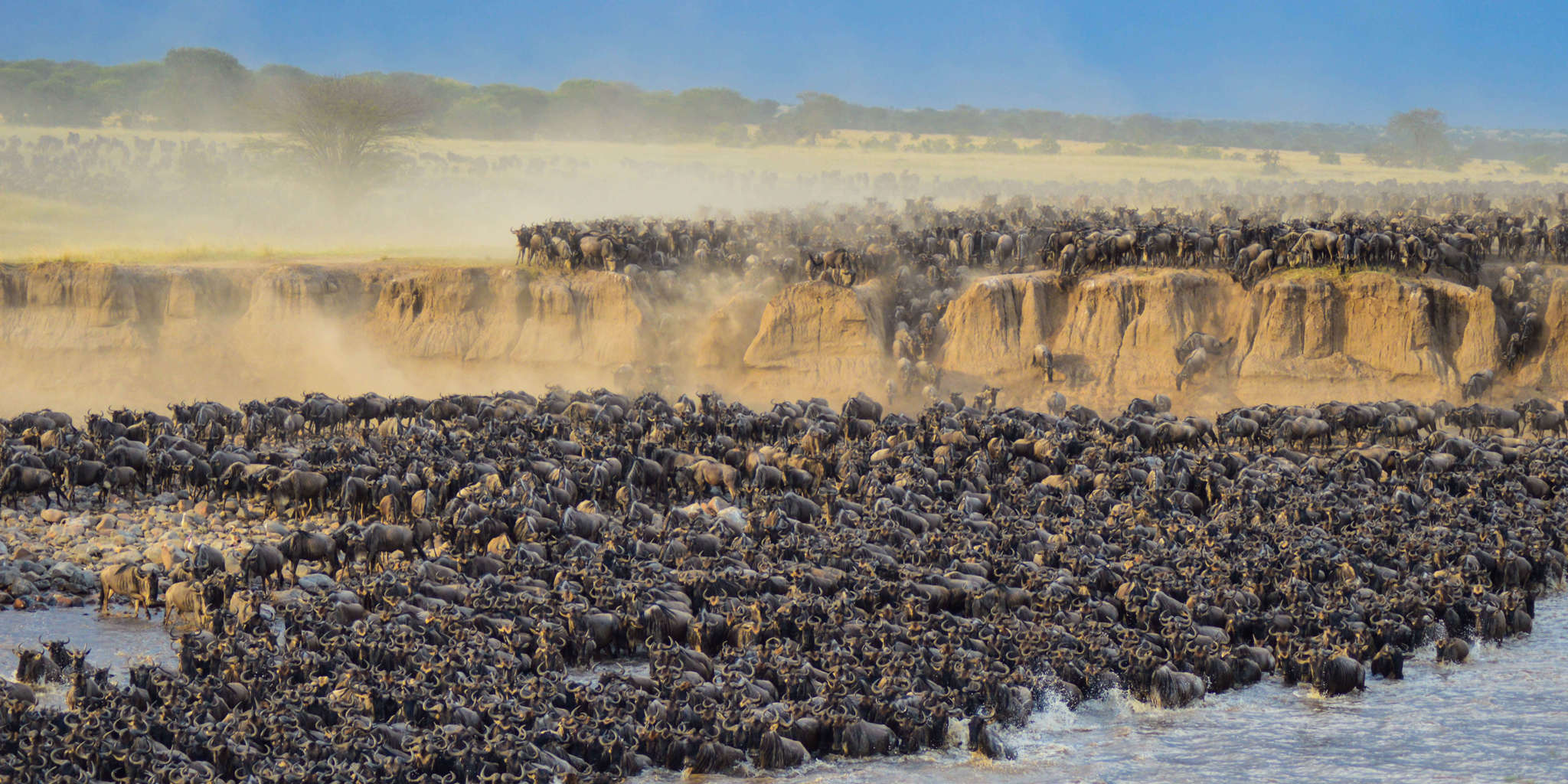Witnessing Earth’s Greatest Wildlife Show The Great Migration in East Africa.