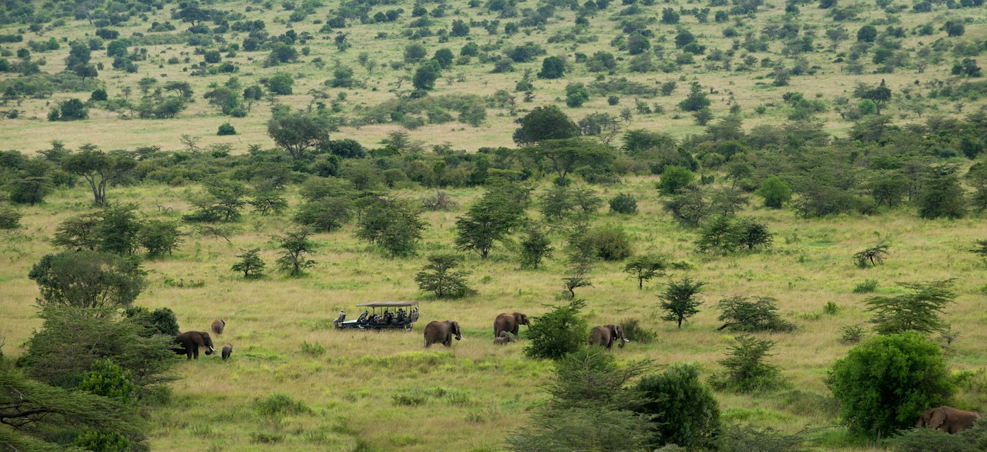 Tanzania Remains Calm, Connected, and Open for Travel...!