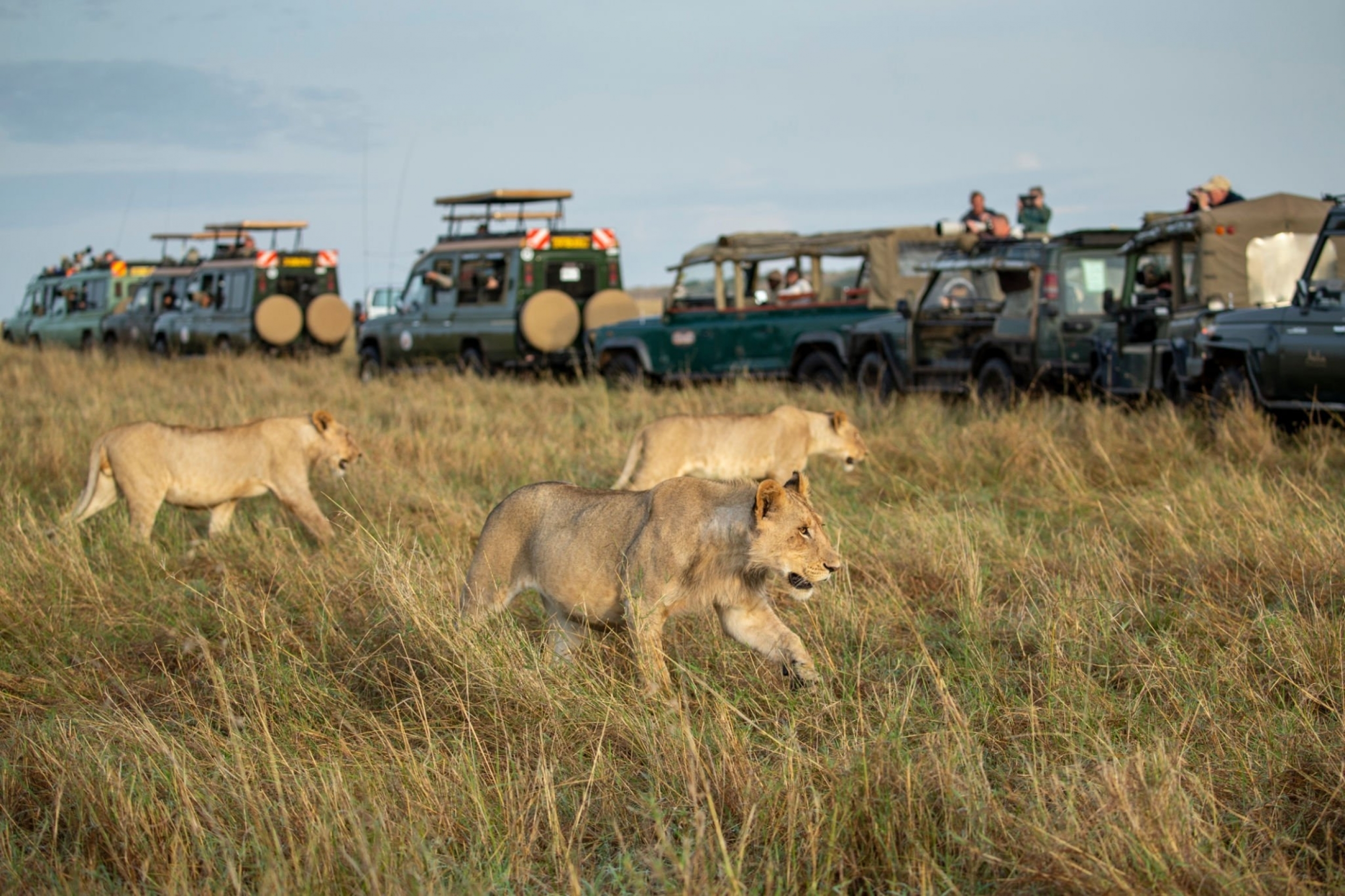 GAME DRIVE AND BOAT CRUISE
