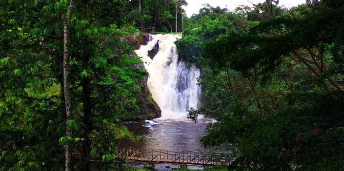 Visit Ssezibwa falls and Mabira Forest.