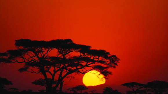 Arrival in Arusha.