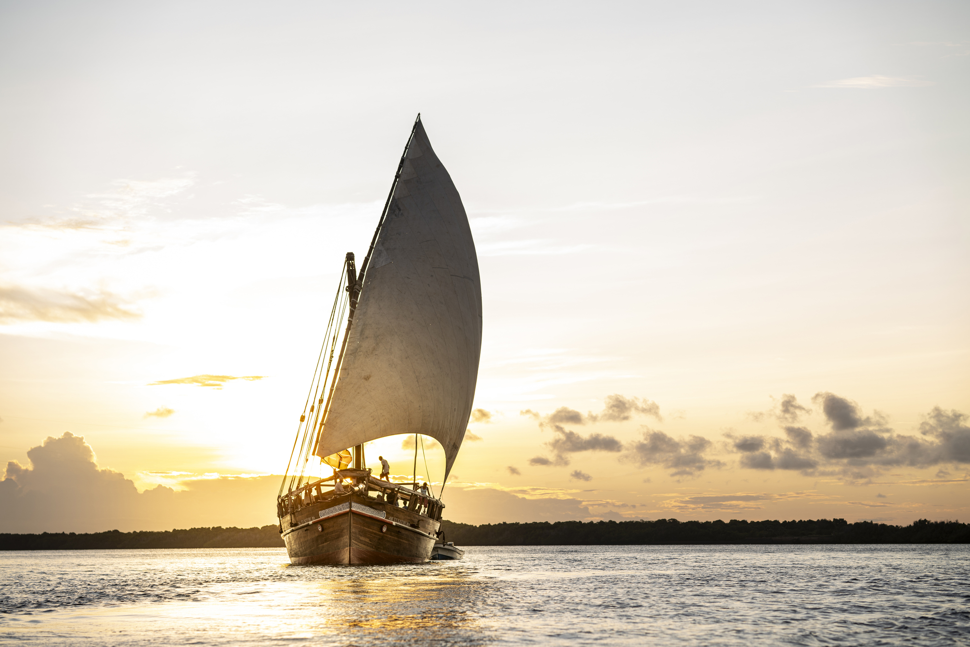 Sail into Serenity, Tusitiri Dhow Safaris in Lamu – A Journey Through Time.