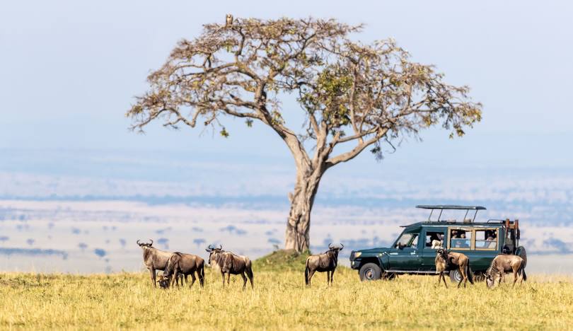 Farewell & Return to Nairobi.