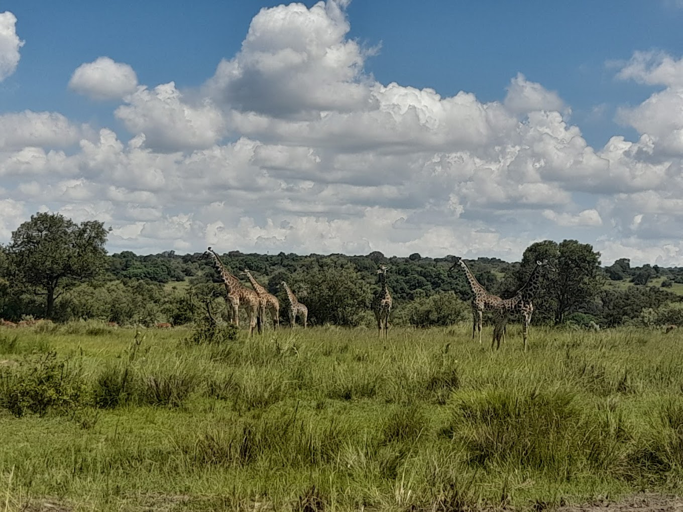 Arrival in Nairobi – Gateway to Safari.