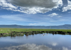 Ngorongoro Crater – Lake Manyara – Arusha.