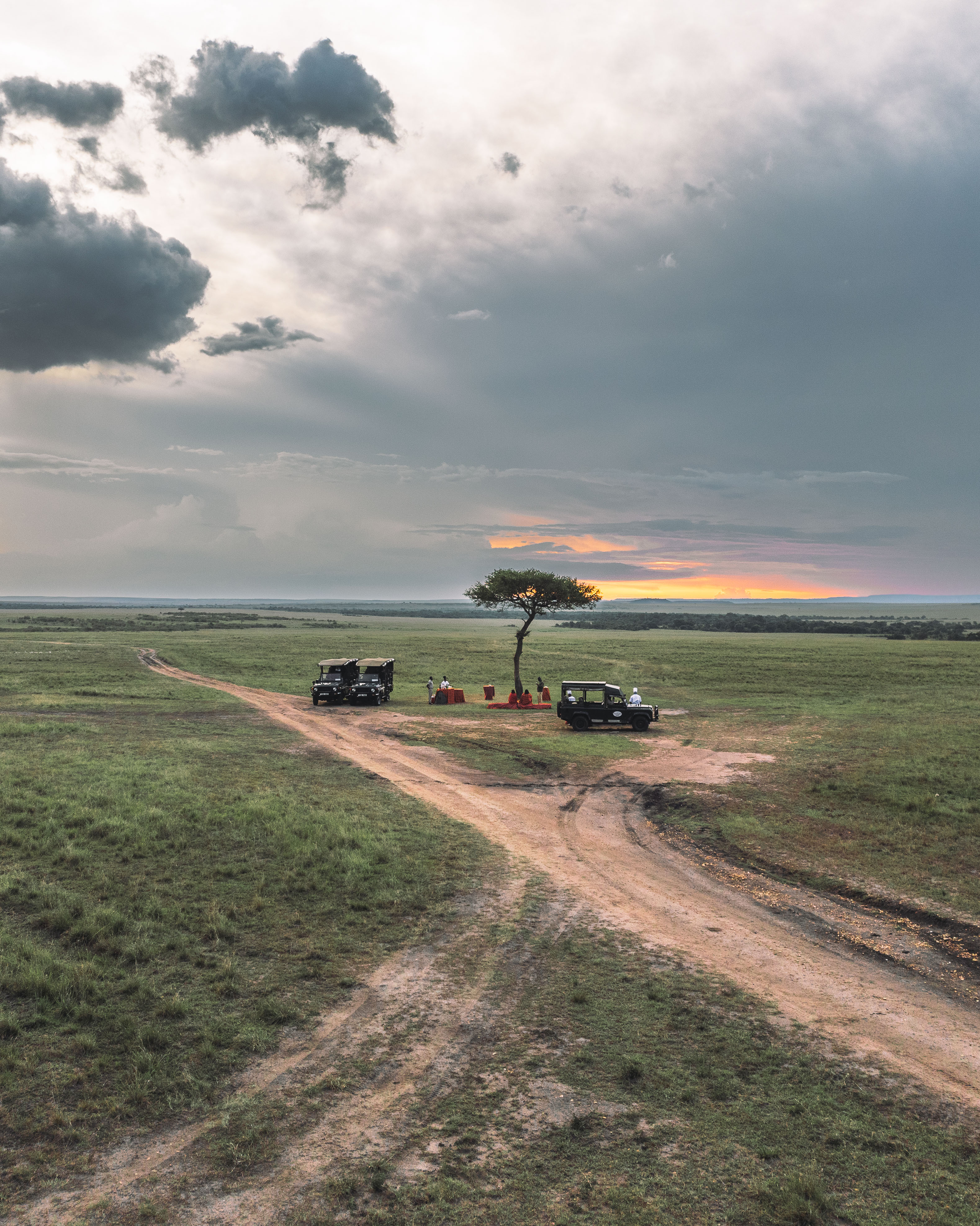Full Day in Tarangire.