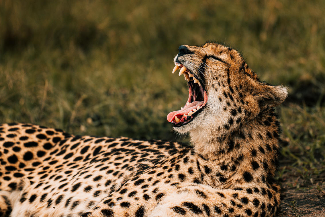 Must-Visit Destinations in East Africa 2025/2026.