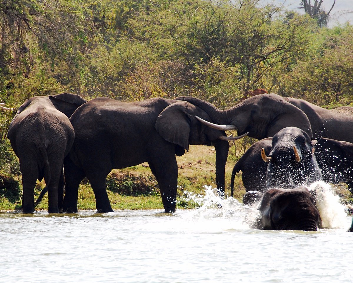 Return to Entebbe | Onward Travel.